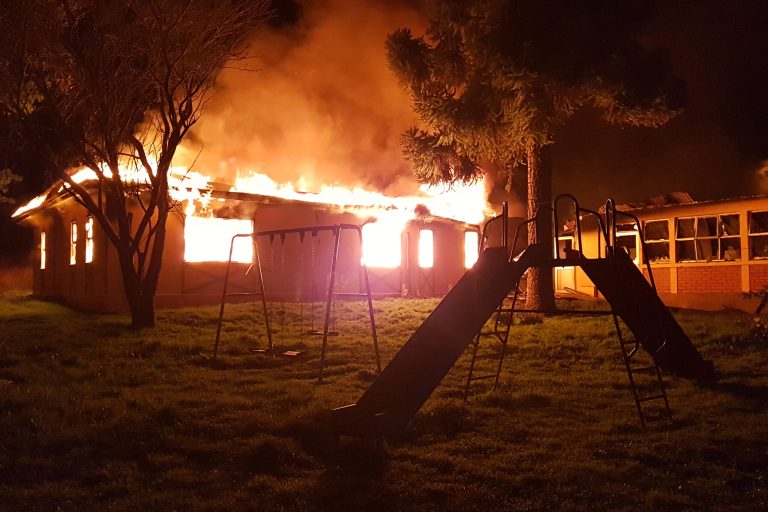 Nuestras mejores fotos 2020