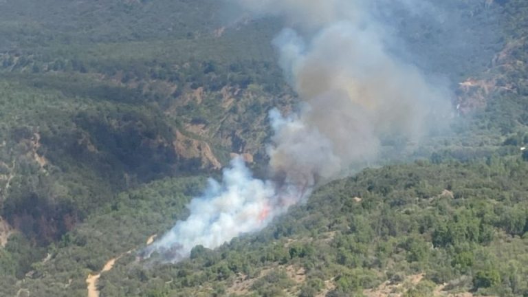 TLVBTI362JB5HNWKOVJ326XFOE