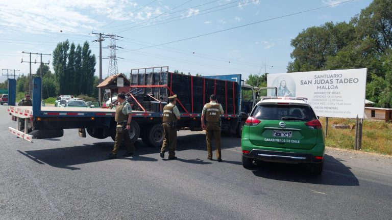 HCGZBVTRTZG2RM3TUJZDK5PEXY