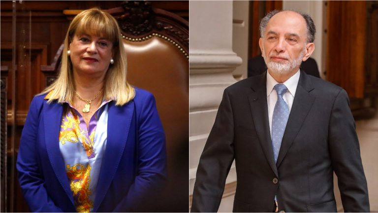 VIVANCO-MUnOZ-ACUSACIONES-SENADO