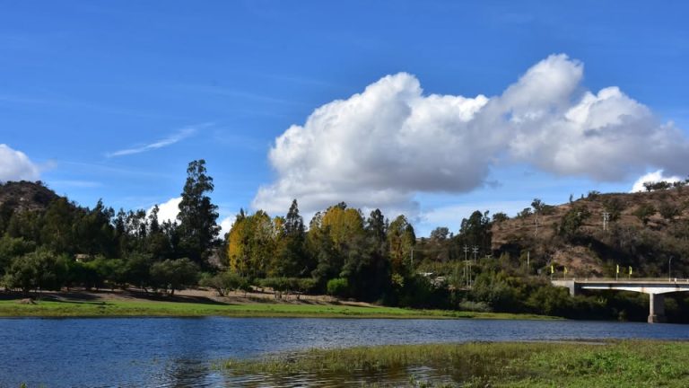 472006966_578174121492091_573422258665339708_n