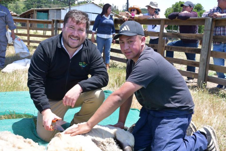 esquila-navidad-1-yanko-1024x683