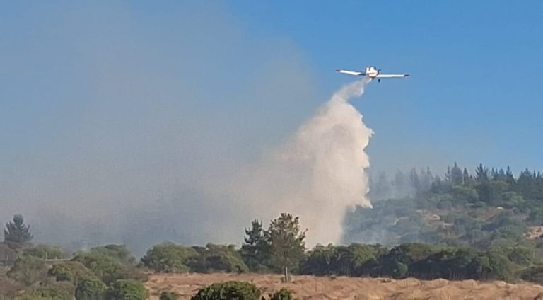 1404c49b-incendio-maule-diario-talca-2-e1734914435571