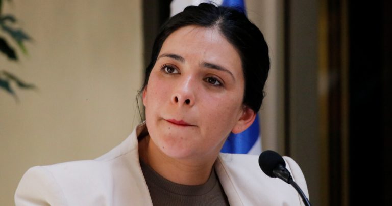 temp_Diputada-Karol-Cariola-Supera-Desafios-y-Enfoca-Defensa-Tras-Nacimiento-de-su-Hijo